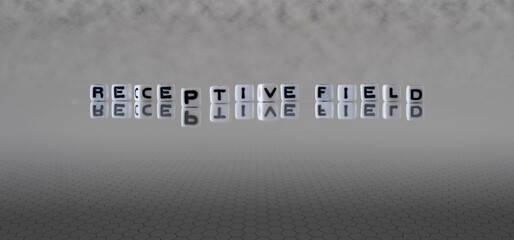 receptive field word or concept represented by black and white letter cubes on a grey horizon background stretching to infinity