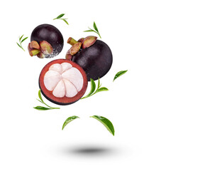 Water splash on fresh mangosteen with leaves isolated on transparent background (.PNG)