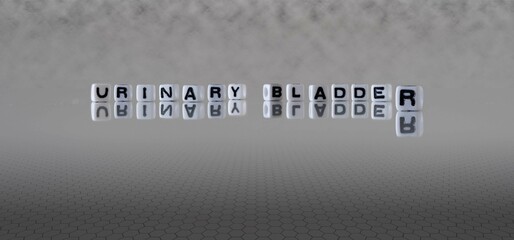 urinary bladder word or concept represented by black and white letter cubes on a grey horizon...