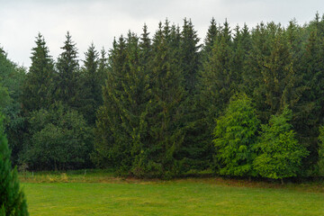Slovak mountains during heavy rain in summer, Polana, Slovakia, Europe © fotomolka