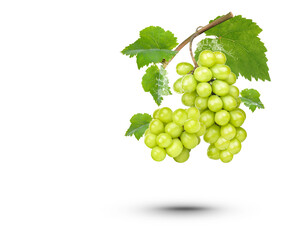 Water splash on fresh green grape with leaves isolated on transparent background (.PNG)