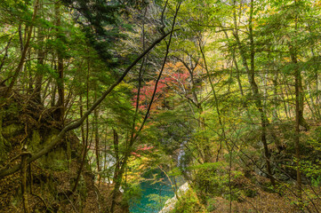 奈良県天川村の秋風景