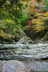 Obraz premium 奈良県天川村の秋風景