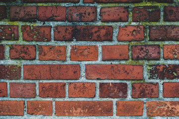 Brick wall in red color, old wall texture background with green moss.