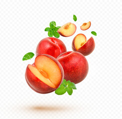 Water splash on fresh Red plumwith mint isolated on transparent background (.PNG)