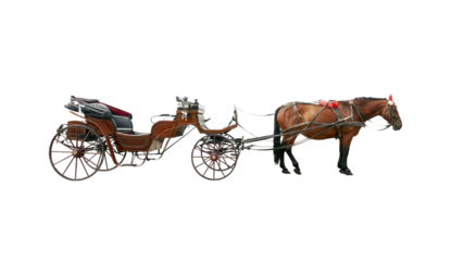 Brown horse and old classic open carriage coach isolated
