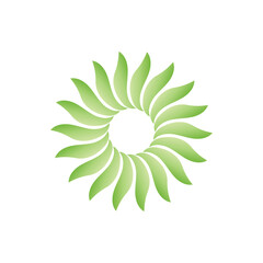 Leaf leaves logo green vector  image