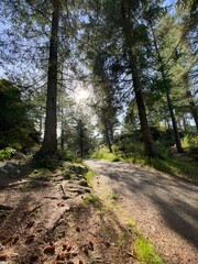 Endless expanses of Norway through the eyes of refugees from Ukraine.