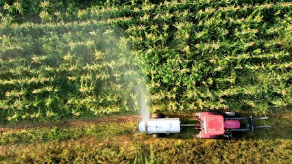 Aerial view of tractor spraying corn in a field with pesticides at sunrise in the mountains. © Robert Peak