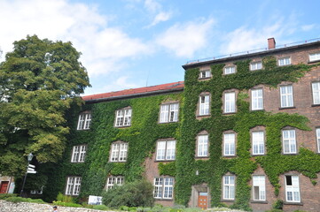Royal Wawel Dragon Castle in Krakow.