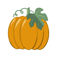 Large orange ripe pumpkin with green leaves, vector flat style