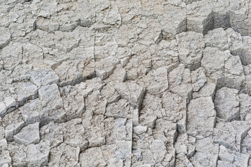 natural stone background, the bases of lava basalt columns form a kind of pavement