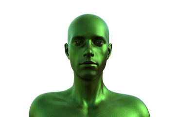 3D render. Portrait of a green bald man on a white background. 