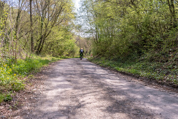 A man driving a motorbike on the driveway in the park.