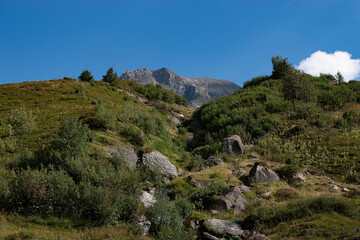Fototapeta na wymiar Panorama des Alpes, autour du Cormet de Roseland