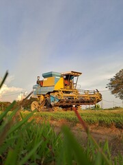 Malaysian rice harvester during sunset or sunrise.