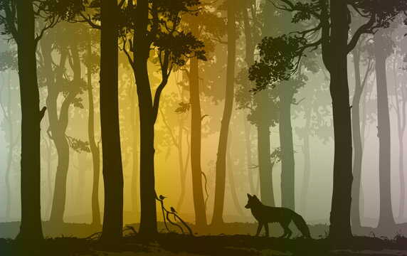 Vector background with fox and birds in the forest. The illustration is seamless horizontally.	