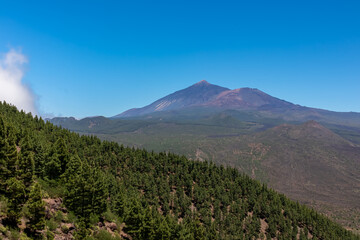 Scenic view on volcano Pico del Teide surrounded by Canarian pine tree forest, Teno mountain range, Tenerife, Canary Islands, Spain, Europe. Hiking trail from Santiago to Masca village via Pico Verde