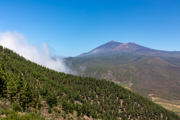 Scenic view on volcano Pico del Teide surrounded by Canarian pine tree forest, Teno mountain range, Tenerife, Canary Islands, Spain, Europe. Hiking trail from Santiago to Masca village via Pico Verde