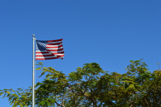 American fly flying high in the sky at the Holiday Park in Fort Lauderdale