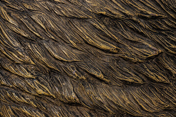 background brown abstract line pattern