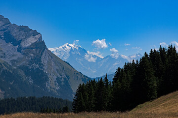 Fototapeta na wymiar Panorama des Alpes, le Mont-Blanc