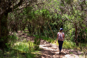 Fototapeta premium Woman with backpack walking on hiking trail through the dense laurel forest in Teno mountain range, Tenerife, Canary Islands, Spain, Europe. Path between mountain village Masca and Santiago del Teide