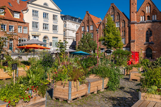 Lübeck, Germany - August 31, 2022: The historic square "Koberg" with the public garden "Kulturgarten".