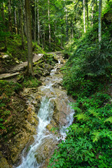 Rehbachklamm bei Scheffau am Wilden Kaiser, Österreich