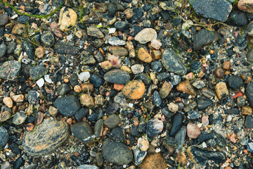 stones on the beach