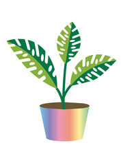  plant in a rainbow pot home decor object .plant in a pot.