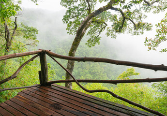 Fototapeta na wymiar wooden terrace of cabin unique house on tree rain forest fog scene background feel purify air at thong pha poom national park station Thailand.