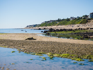 coast of cape cod at plymouth