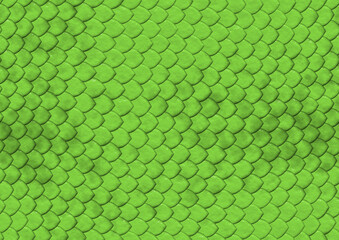 Seamless pattern of crocodile leather, animal skin. The alligator texture