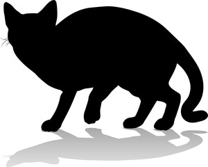 Silhouette Cat Pet Animal