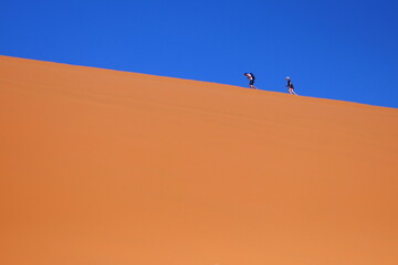 Dune Walkers