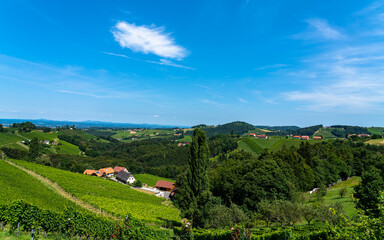 Fototapeta na wymiar Beautiful panorama view of vineyard and farmland in south Styria near Sernau, Gamlitz on a sunny summer day with blue sky cloud, Austria