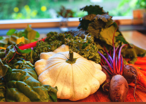 frisch geerntetes Herbstgem&uuml;se (K&uuml;rbis, Mangold, Rote Beete, Karotten, Gr&uuml;nkohl, Palmkohl) auf dem K&uuml;chentisch - regionales, saisonales Gem&uuml;se
