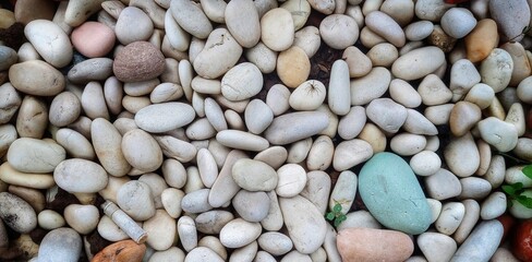 Pebbles at the garden II