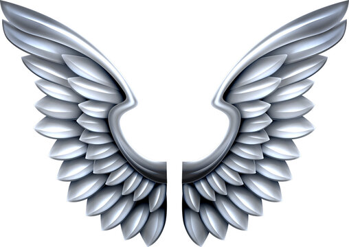 Silver Metal Wings