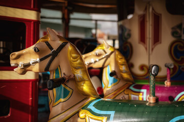 carousel horse multicoloured fairground ride 