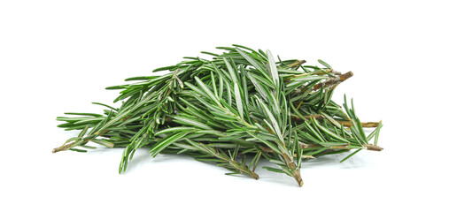 Fresh rosemary bunch isolated on white background