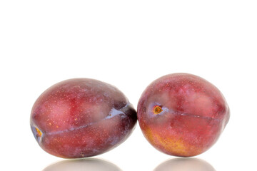 Two ripe plums, macro, isolated on a white background.