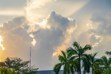 Tropical palm trees cloudy blue sky Playa del Carmen Mexico. - Powered by Adobe