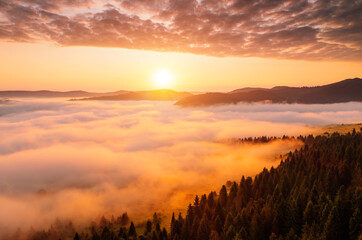 Magical thick fog covers the mountains in the rays of morning light. Carpathian mountains, Ukraine.