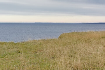 Grass field on a cliff along the baltic sea on Pakri Peninsula, Paldiski, Estonia