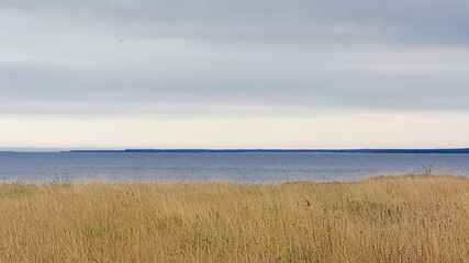 Grass field on a cliff along the baltic sea on Pakri Peninsula, Paldiski, Estonia
