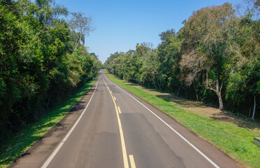 empty paved road through a lush rainforest
