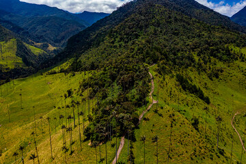 Cocora Valley in Colombia from above | Luftbilder vom Cocora Tal in Kolumbien