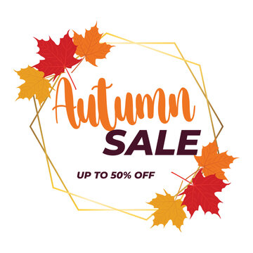 Autumn Sale banner template with bright autumn leaves